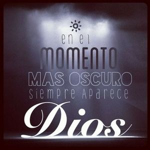 Meet your Posher, Miriam